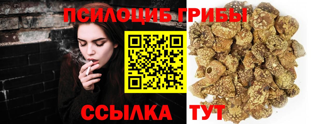Псилоцибиновые грибы мухоморы  Вход с VPN  купить наркоту  Учалы 